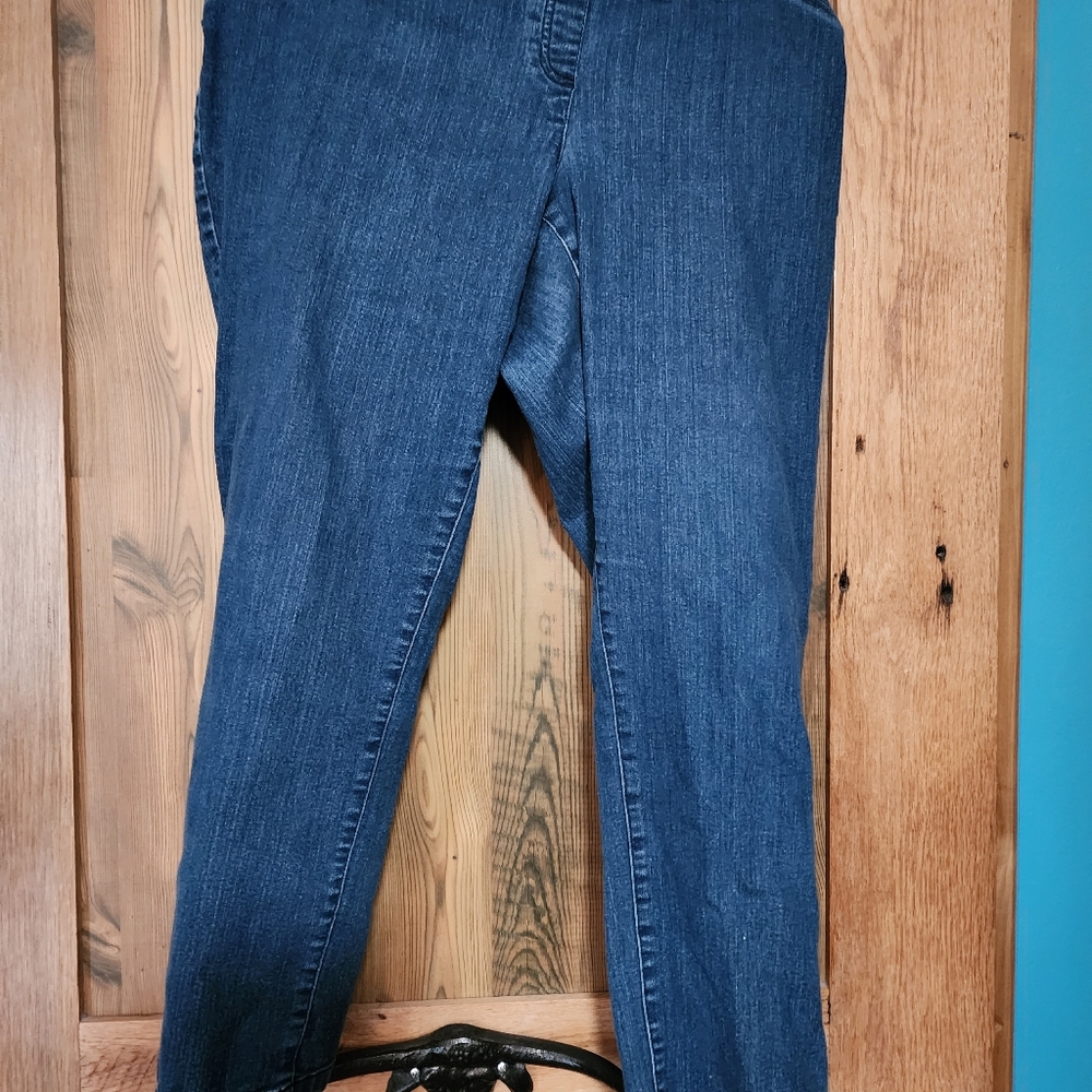 2/15 Alia 16W pull on jeans